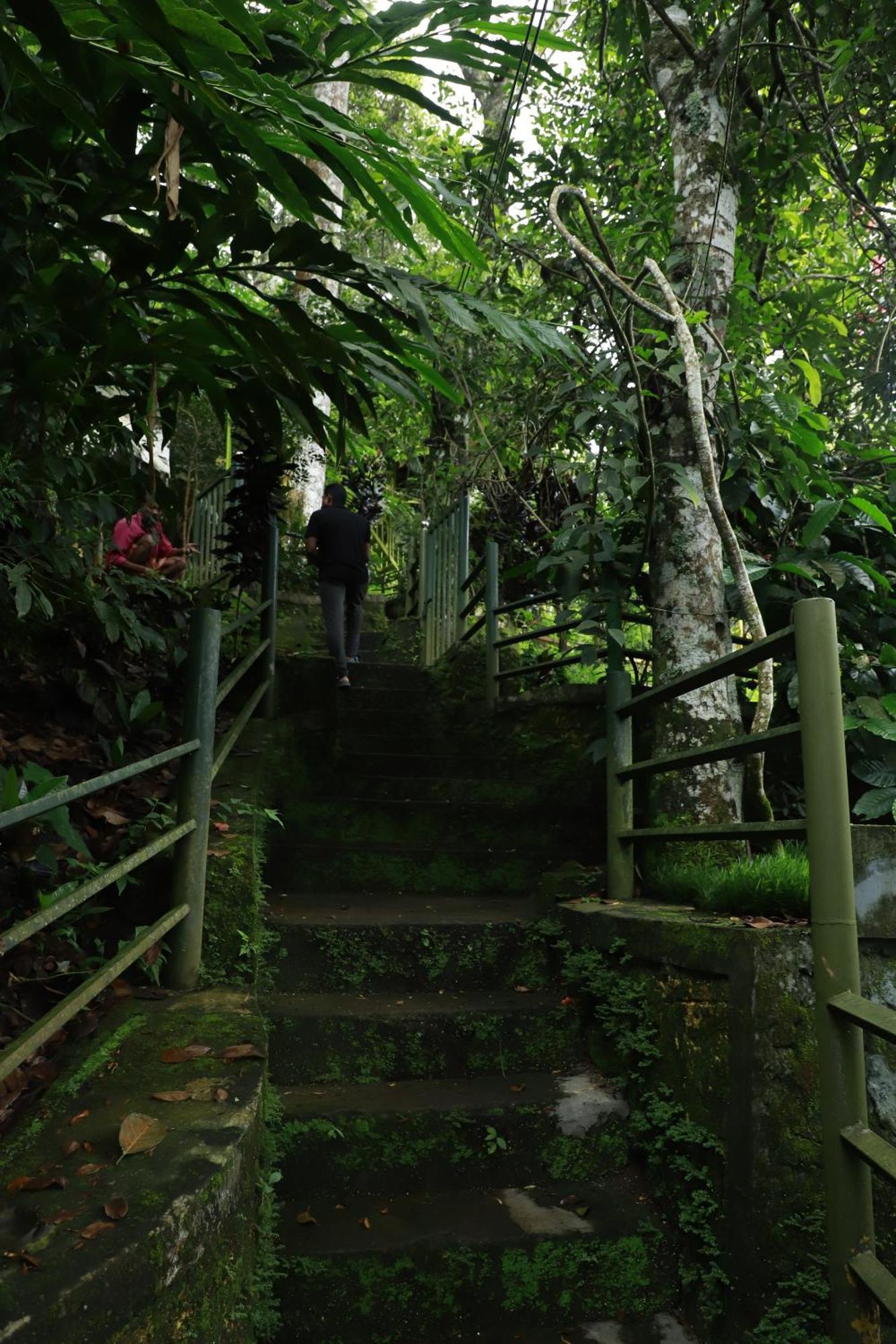 Nature Villa Anachal 외부 사진