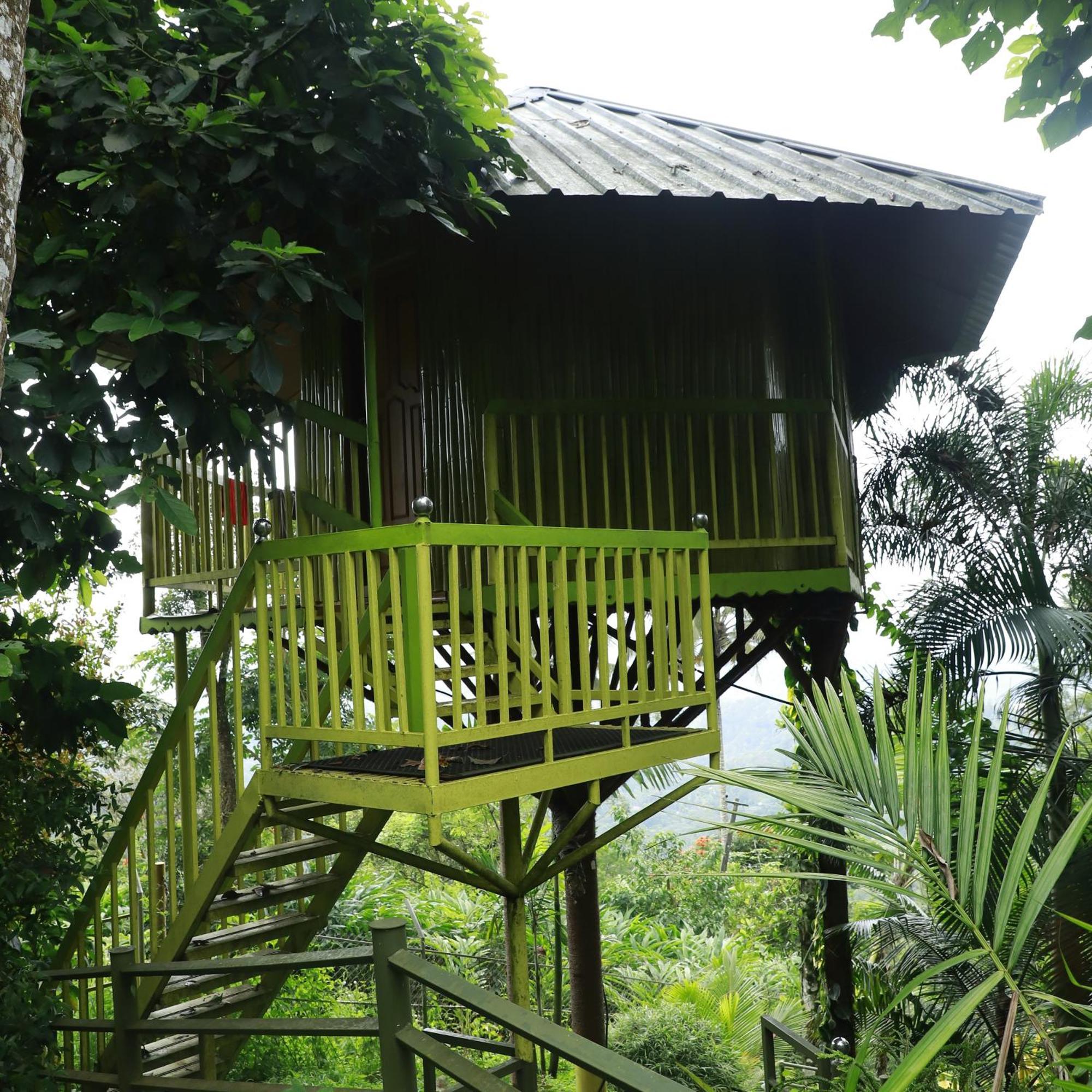 Nature Villa Anachal 외부 사진